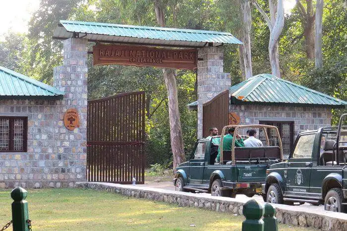 Rajaji National Park 