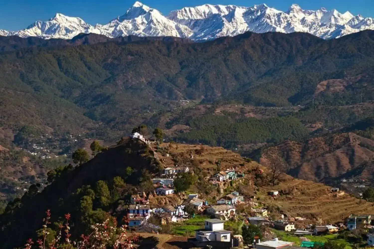Ranikhet