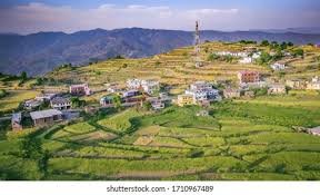 Ranikhet