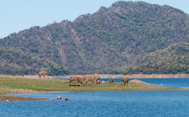Jim Corbett