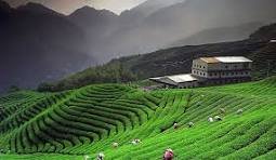 Kausani photo 1