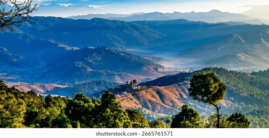 Ranikhet photo 3