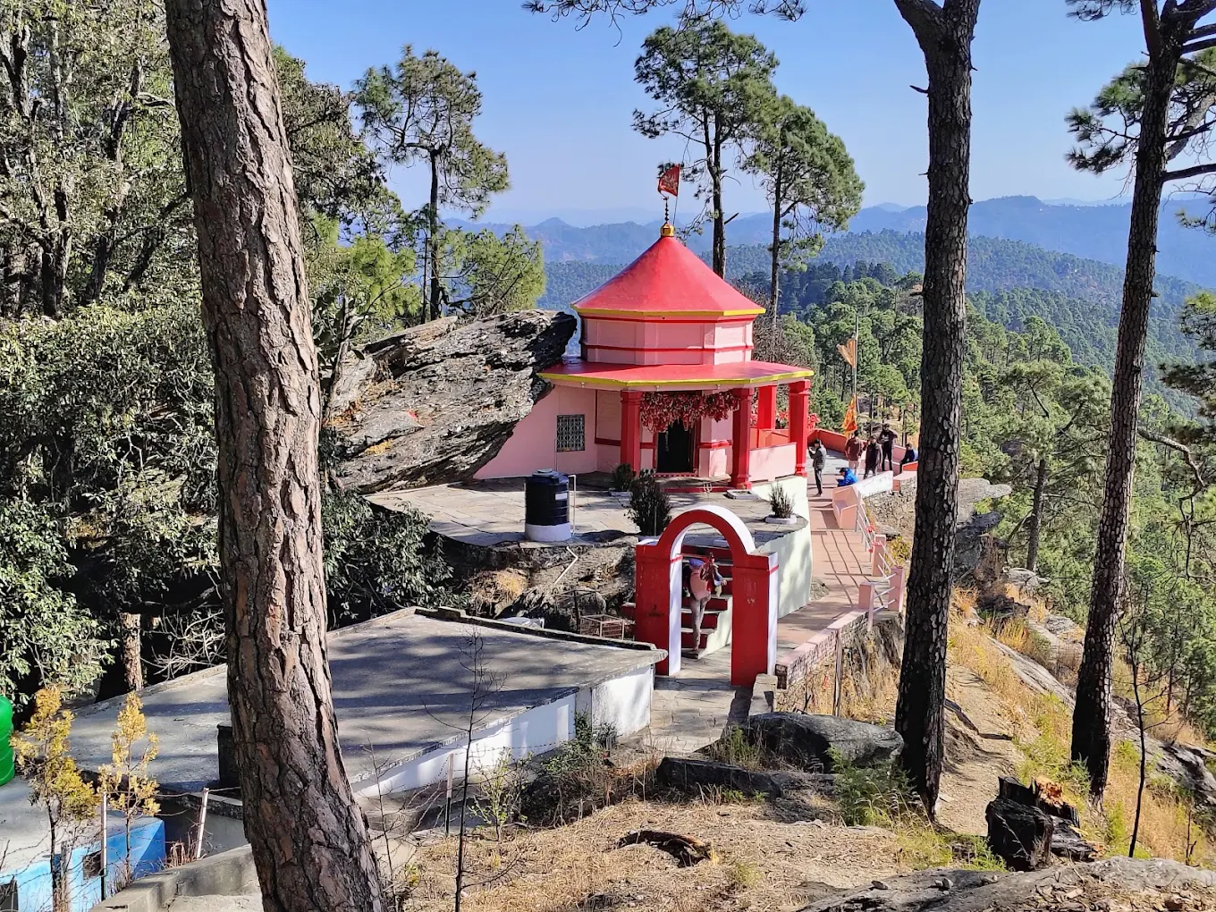 Binsar photo 3