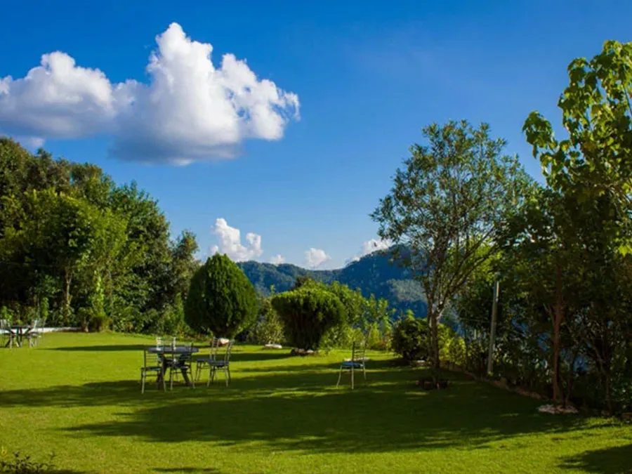 Binsar photo 4