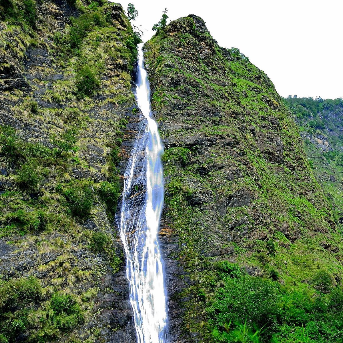 Munsiyari photo 5
