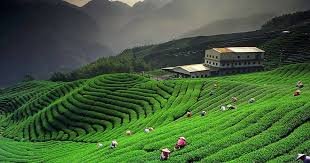 Kausani photo 2
