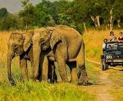 Ramnagar photo 1