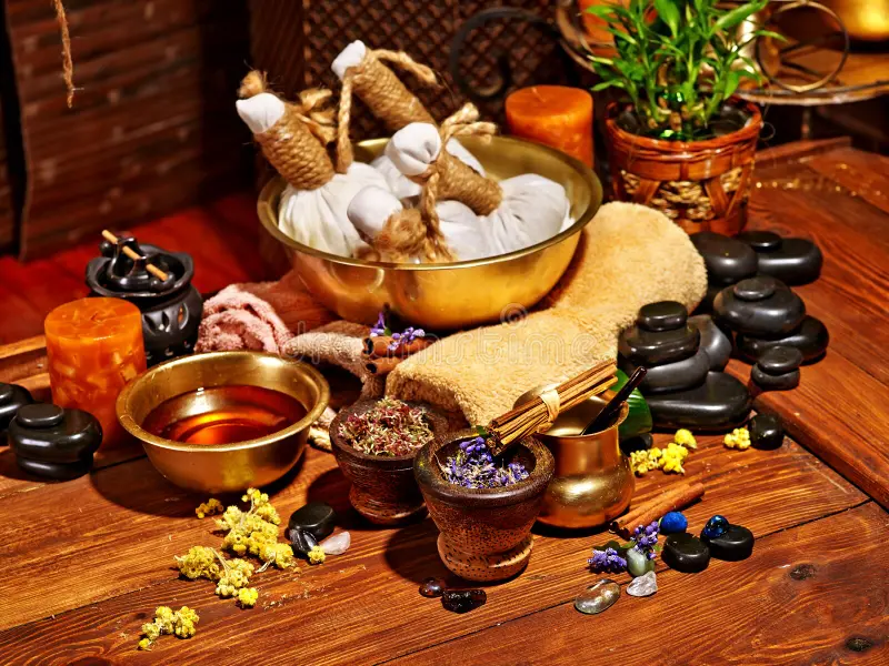 Haridwar Ayurveda Wellness