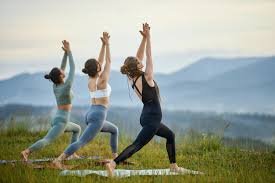 Mukteshwar Himalayan Wellness
