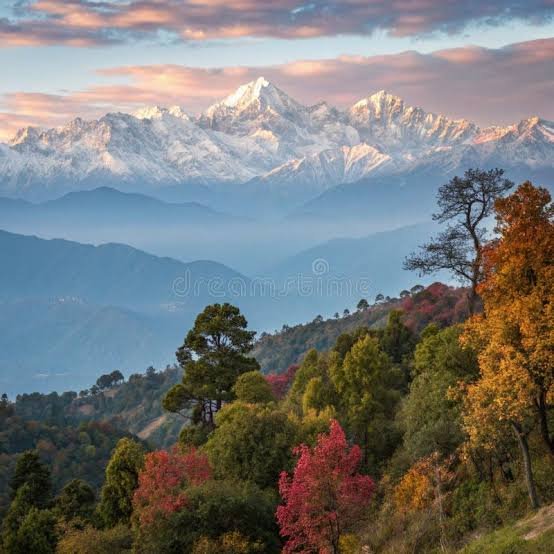 Kausani Himalayan Detox