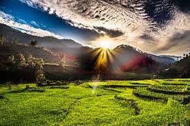 Kausani Sunrise Honeymoon
