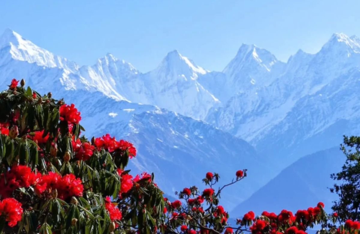 Munsiyari Himalayan Honeymoon