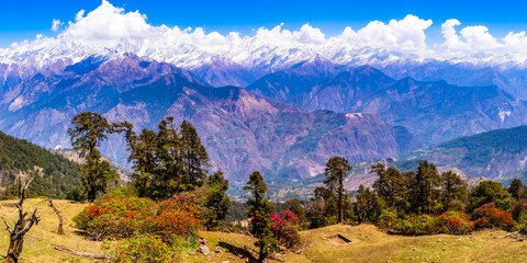 Rishikesh Via Ferrata & Sky Cycling