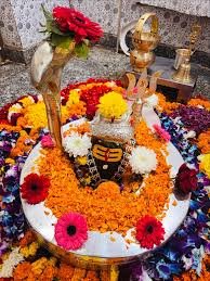 Neelkanth Mahadev Rudrabhishek