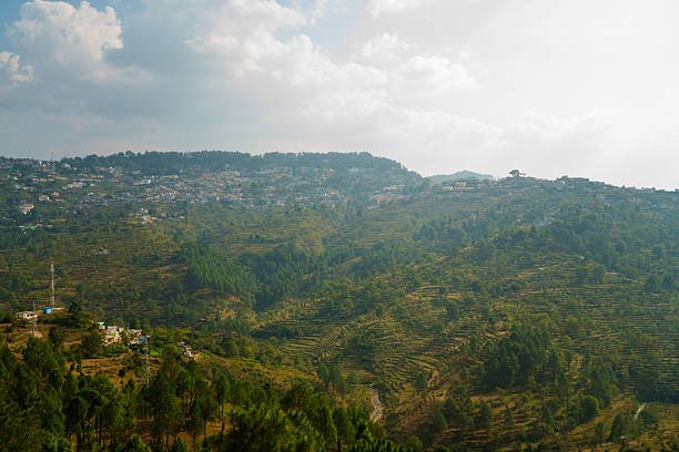 Ranikhet & Kausani Hills