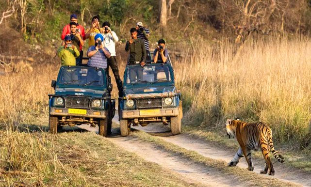 Corbett Photography Expedition