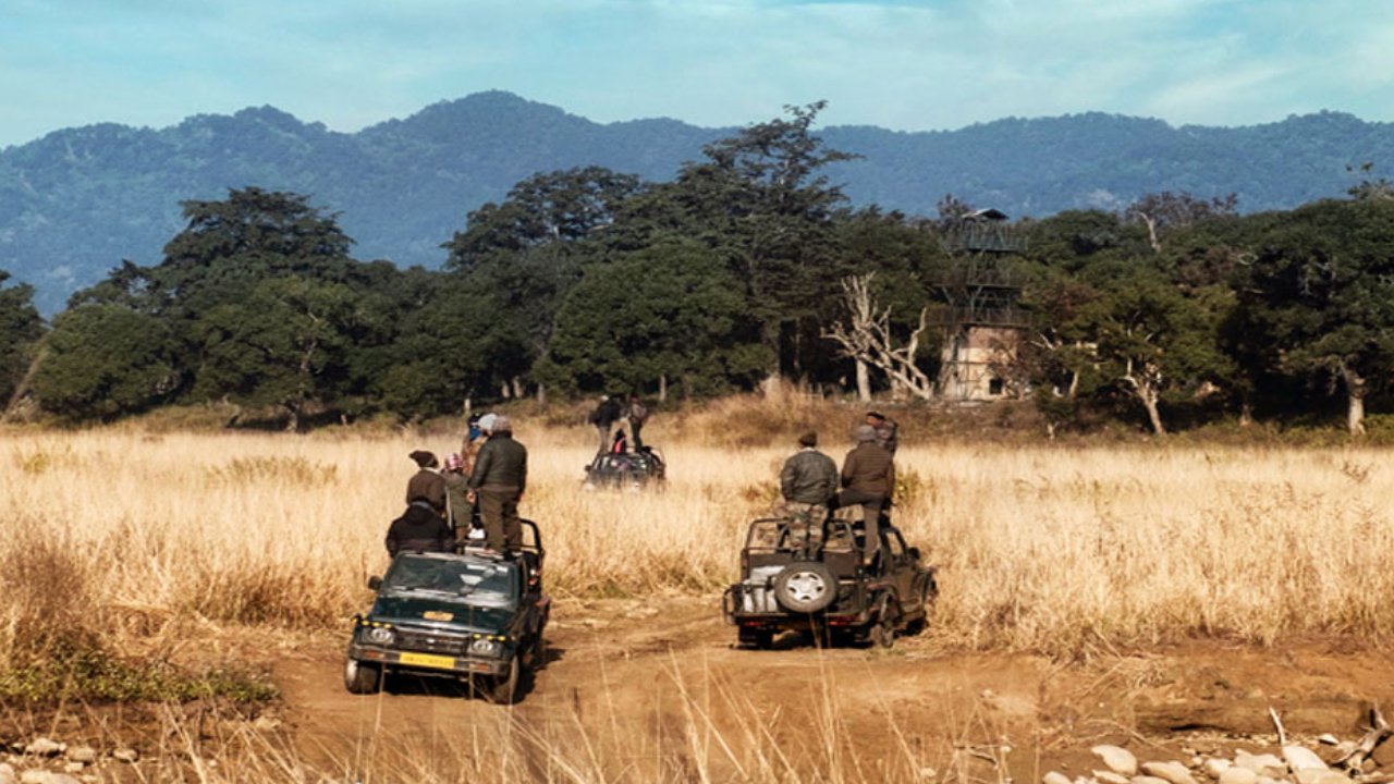 Corbett Dhela Zone Escape