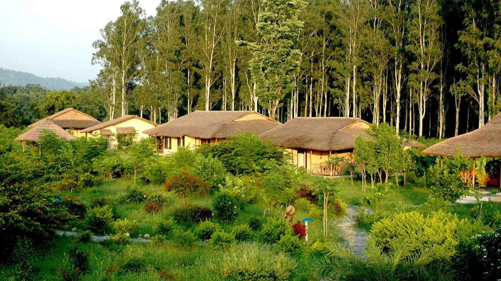 Corbett Luxury Jungle Retreat