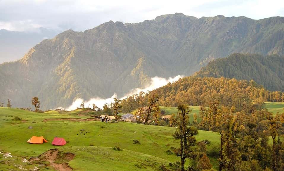 Kedarnath Musk Deer Sanctuary