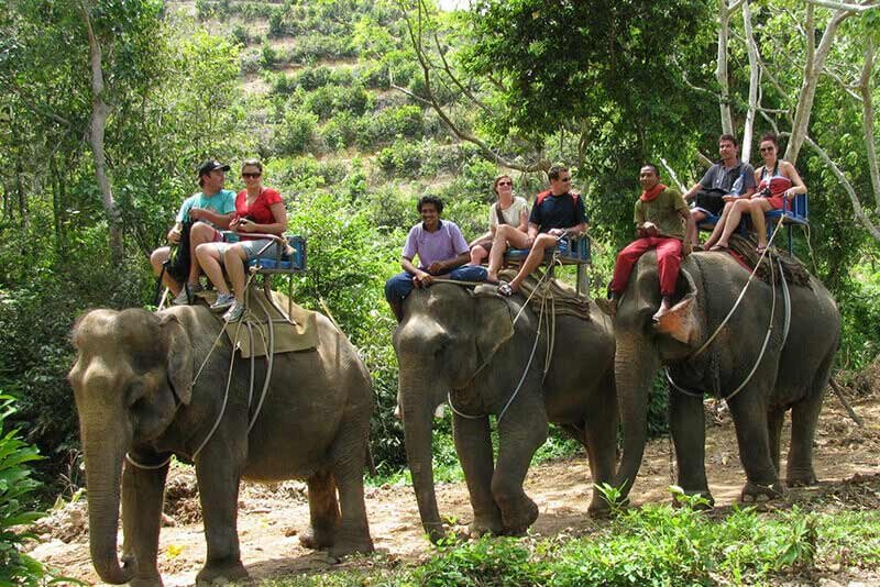 Corbett Elephant & Bird Safari