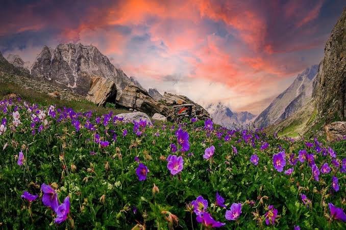 Hemkund Sahib & Valley of Flowers