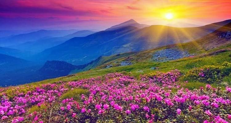 Badrinath & Valley of Flowers Pilgrimage
