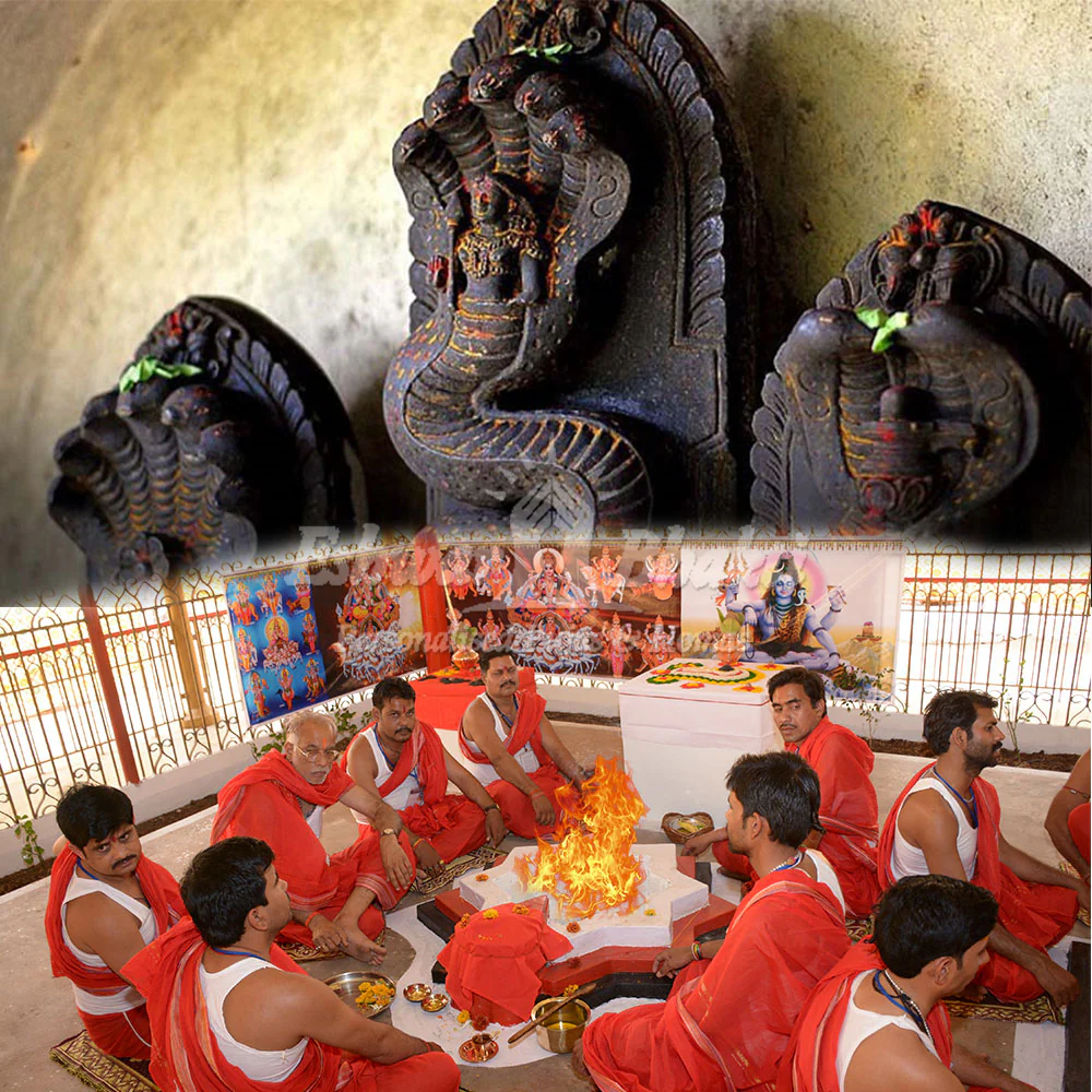Kaal Sarp Dosh Nivaran Puja