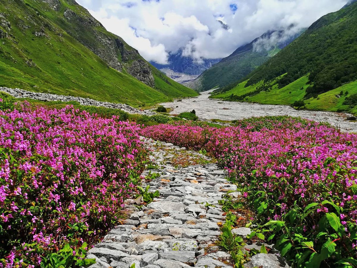 Hemkund Sahib & Valley of Flowers photo 1