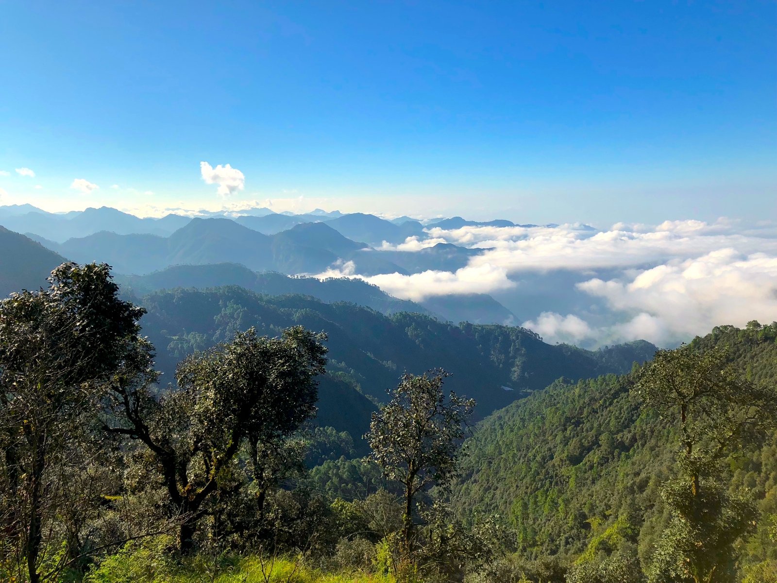 Mussoorie Adventure Park photo 5