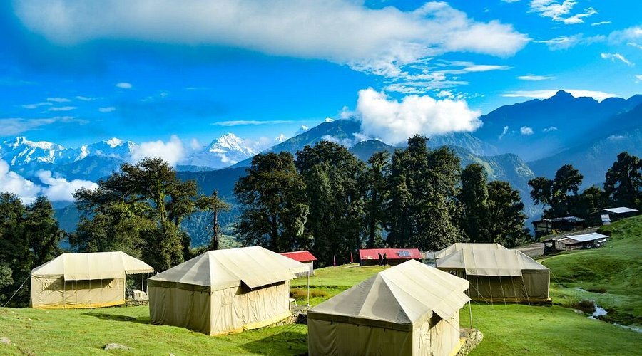 Chopta – Chandrashila Adventure photo 3